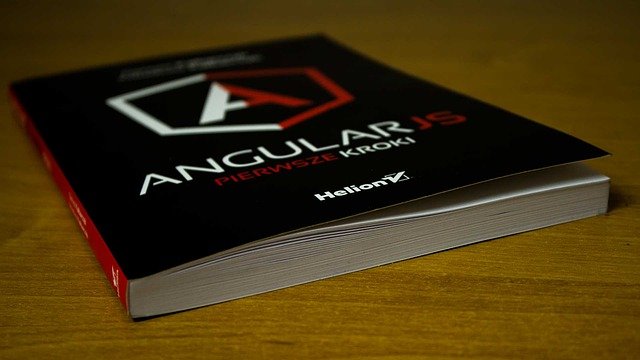 book on angular.js